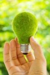 Hand Holding Eco Light Bulb Stock Photo