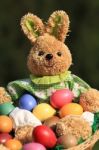 Funny Easter Rabbit Stock Photo