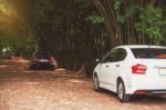 Car At The Bamboo Garden Stock Photo