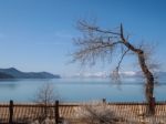 Landscape Of Lake Tahoe Stock Photo