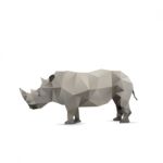 Rhino Stock Photo