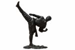 Kung Fu Statue Stock Photo