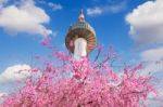 Seoul Tower And Pink Cherry Blossom, Sakura Season In Spring,seoul In South Korea Stock Photo