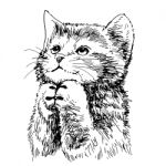 Lovely Kitten Hand Drawn  Stock Photo