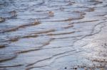 Water Shoreline On The Beach Stock Photo