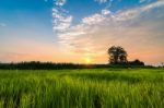 Landscape Sunset Field Stock Photo