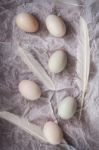 Duck Eggs Flat Lay Still Life With Food Stylish Stock Photo