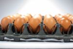 Eggs Chicken For Eat Stock Photo