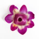 Nail Polish On Orchid Petals Stock Photo