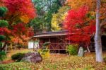 Wooden Cabin With Autumn Foliage Leaves Stock Photo