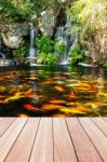 Koi Fish In Pond At The Garden With A Waterfall And Wood Walkway Stock Photo