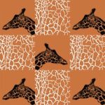 Giraffe Patterns Black And White With Brown Stock Photo