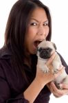 Shouting Female Holding Puppy Stock Photo