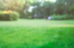 Lawn With Blurred Image Stock Photo