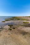 Ria Formosa Marshlands Located In The Algarve, Portugal Stock Photo