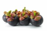 Mangosteen Stock Photo