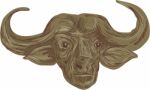 African Buffalo Head Drawing Stock Photo