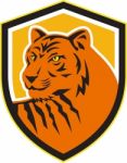 Tiger Head Front Crest Retro Stock Photo