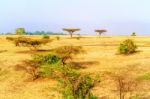 Farmland Landscape In Ethiopia Stock Photo