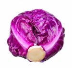 Red Cabbage Isolated On The White Background Stock Photo