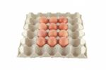 Egg In Carton Stock Photo