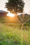 Silhouette Grass Field In Front Of Home With Sunlight Rim Light Stock Photo