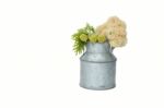 Tin Pot And Fresh Flower And Leaves On White Background Stock Photo