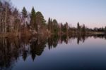 Reflexion Of Forest In The Mirror Of A Lake Stock Photo