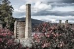 Port Arthur Building In Tasmania, Australia Stock Photo