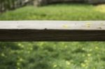 Wooden Bench In Outdoors Garden In Summer Stock Photo