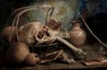 Still Life With A Skull Stock Photo