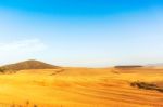 Farm Fields Western Cape, South Africa Stock Photo