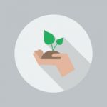 Eco Flat Icon. Hand Holding Plant Stock Photo