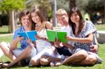 Smiling Young Couple Holding Books Posing To Camera Stock Photo