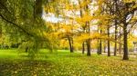 Autumn Season In Russia Moscow Stock Photo