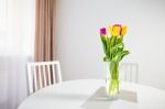 Tulips On Table Stock Photo