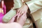 Bride Wearing Ring On Groom's Finger Stock Photo