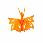 Top View Butterfly Carving Made From Carrots For Meal Decoration Stock Photo