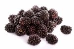 Blackberries On White Stock Photo