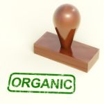 Organic Rubber Stamp Stock Photo