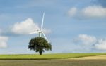 Tree And Wind Turbine Stock Photo