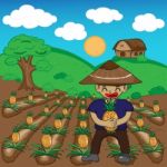 Farmer And Watermelon A Harvest  Illustration Cartoon Stock Photo