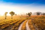 Lanscape Beautiful Sunrise Mountain And Foggy In Thailand Stock Photo