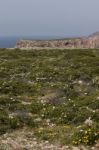 Coastline Landscape Of Sagres Stock Photo