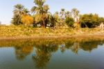 Nile Canal Stock Photo