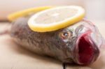 Fresh Whole Raw Fish Stock Photo