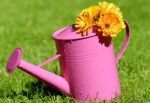 Watering Can Stock Photo