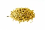 Pile Of Paddy Rice And Rice Seed On The White Background For Isolated Stock Photo