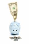 Piggy Bank Stock Photo