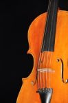 Violin Stock Photo